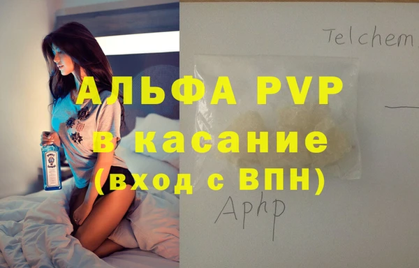 гашик Алексин