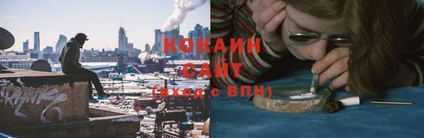 гашик Алексин