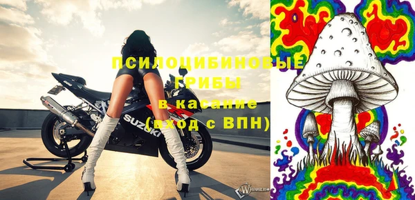 2c-b Алзамай