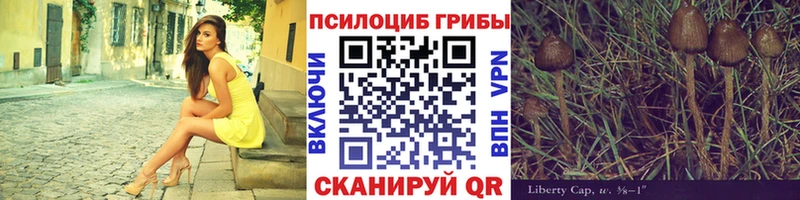 Псилоцибиновые грибы мухоморы  Мамадыш 
